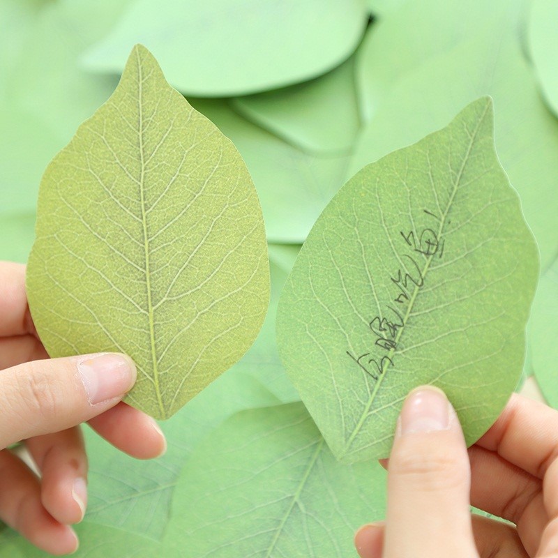 4 pcs/Lot total 200 page Leaf  - مراجعة Total Stationery & Office Supply وسعره